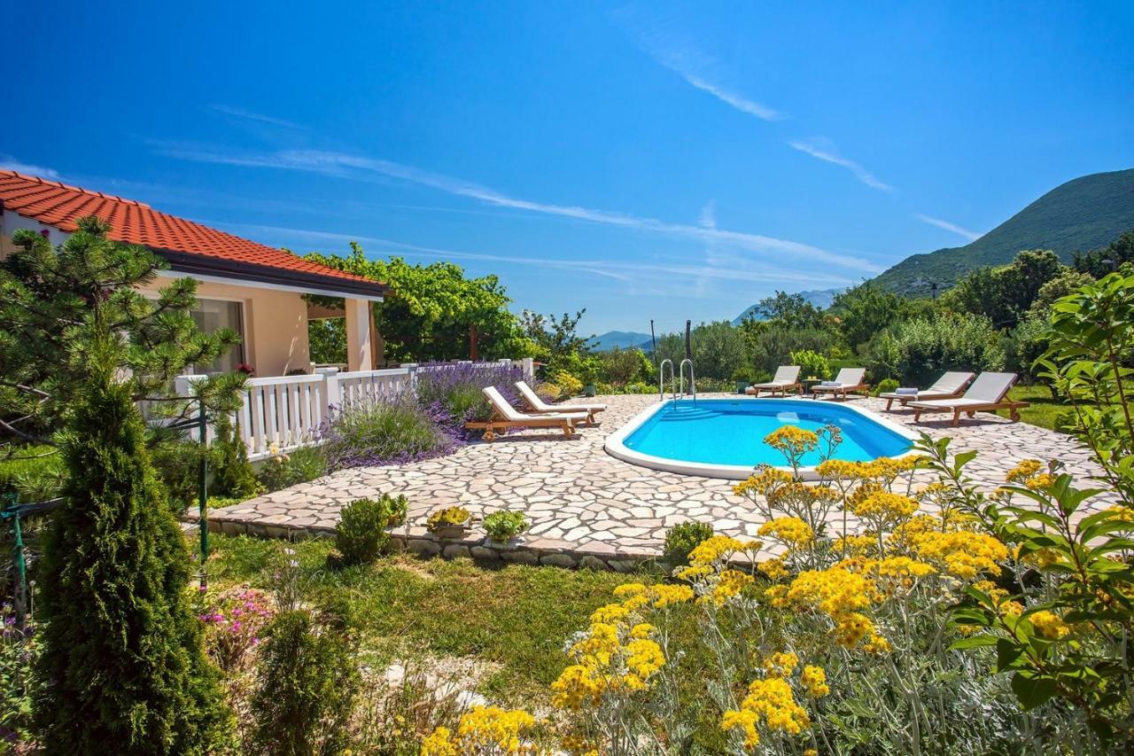 Villa Ana - 3 Bedroom Villa With Private Pool And Unspoiled Natural Environment Kučiće Zewnętrze zdjęcie
